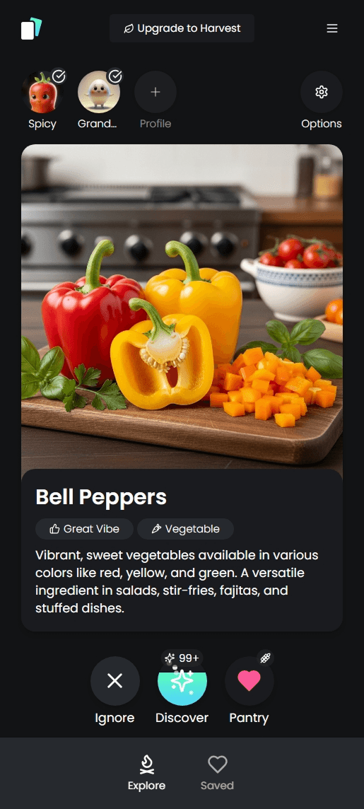 SwipeSpice Interface Landing Image